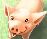 Piggy Portrait by Gemma Roberts