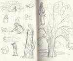 'Acorns' Squirrel and Tree Observational Sketches by Gemma Roberts